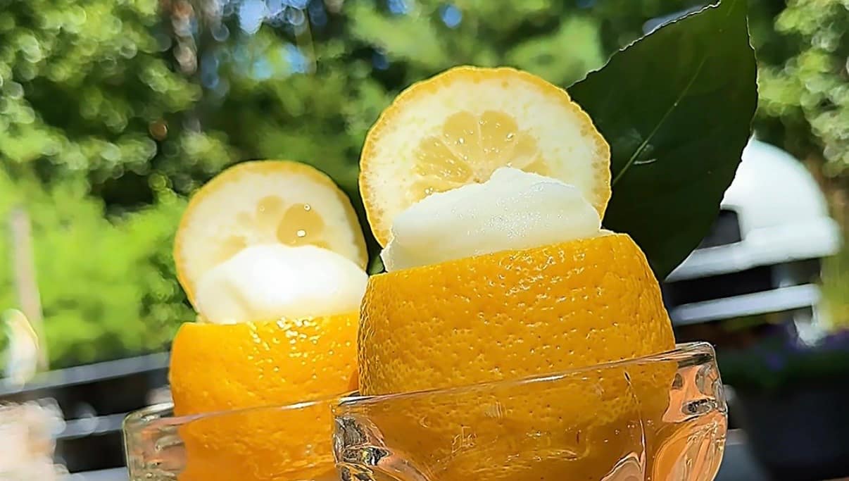 Sorbetto al Limone served inside frozen lemon shells and garnished with fresh mint.