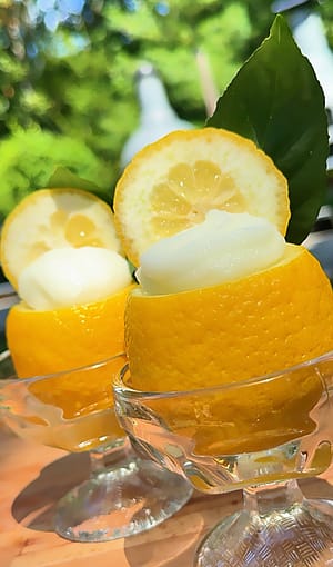 Sorbetto al Limone served inside frozen lemon shells and garnished with fresh mint.